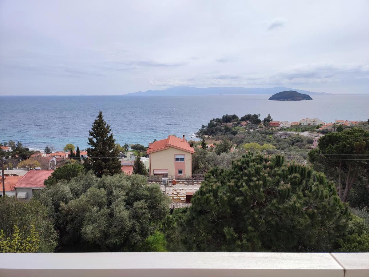 Thea Court Clio & Erato Apartments PalaiónTsiflíkion Εξωτερικό φωτογραφία