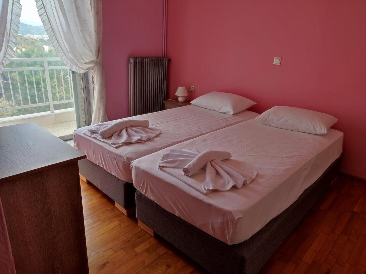 Thea Court Clio & Erato Apartments PalaiónTsiflíkion Εξωτερικό φωτογραφία
